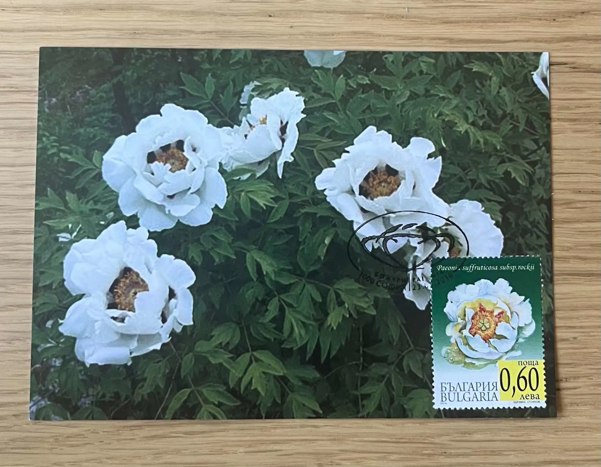 undefined