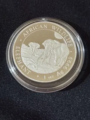 Обява: Сомалия 2026 - 100 Шилинга - Слон 1 OZ - Сребърна монета