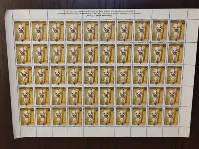 Обява: Пощенски марки "Котки"