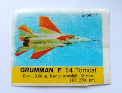Обява: ⭐ Картинка Би-Бип 87 Grumman F 14 Tomcat ⭐