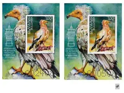 Обява: България 2024 - Египетски лешояд - 2 блока MNH