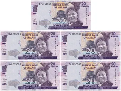 Обява: 🇲🇼 Малави 2019 20 квача 5 броя UNC нови 🇲🇼