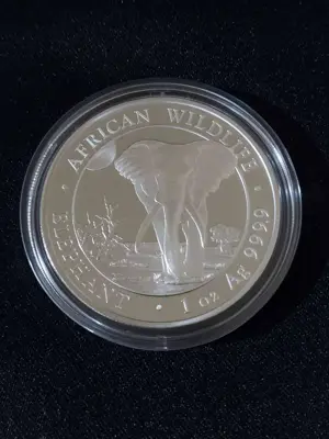 Обява: Сомалия 2025 - 100 Шилинга - Слон, 1 OZ - Сребърна монета, 1 унция