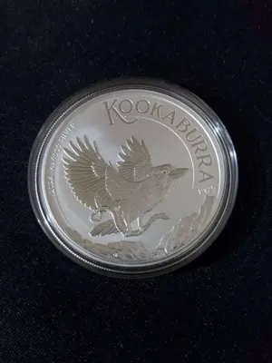 Обява: Австралия 2024 - 1 долар - Австралийската Кукабура – 1 OZ – Сребърна монета