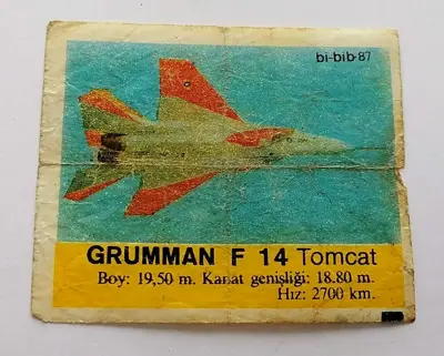 Обява: ⭐ Картинка Би Бип Bi Bib 87 Grumman F 14 Tomcat ⭐