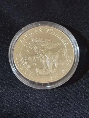 Обява: Сомалия 2012 - 100 Шилинга - Слон 1 OZ - Сребърна монета