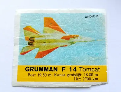 Обява: ⭐ Картинка Би-Бип 87 Grumman F 14 Tomcat ⭐