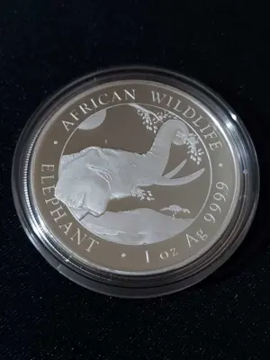 Обява: Сомалия 2023 - 1 OZ - Сребърна монета