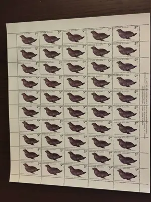 Обява: Пощенски марки - Фауна - "Антарктически видове"