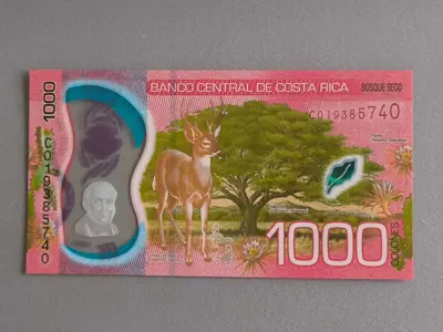 Обява: Банкнота - Коста Рика - 1000 колона UNC | 2019г.