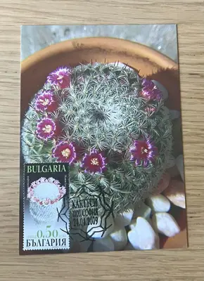 Обява: Кактуси - Лъжлива мамилария