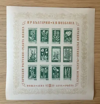 Обява: Блок – Лечебни растения