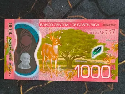 Обява: Банкнота - Коста Рика - 1000 колона UNC | 2019г.