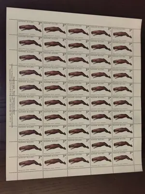 Обява: Пощенски марки - Фауна - "Антарктически видове"