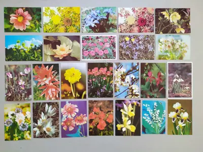 Обява: Флора