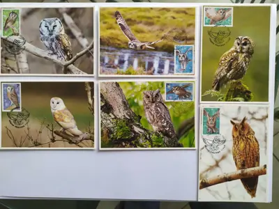 Обява: Карти максимум - Сови