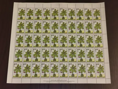 Обява: Пощенски марки "Ендемични дървета от България"