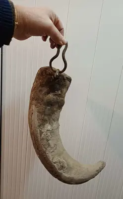 Обява: Катраник от биволски рог