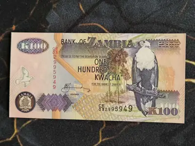 Снимка за обява „Банкнота - Замбия - 100 квача UNC | 2005г."