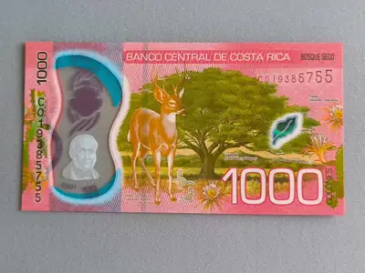 Снимка за обява „Банкнота - Коста Рика - 1000 колона UNC | 2019г."