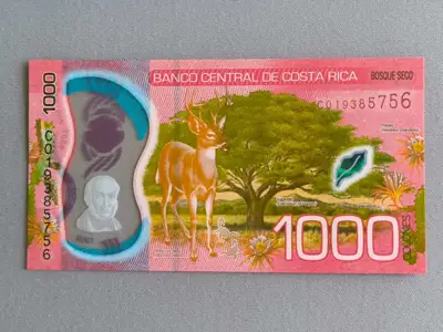 Снимка за обява „Банкнота - Коста Рика - 1000 колона UNC | 2019г."