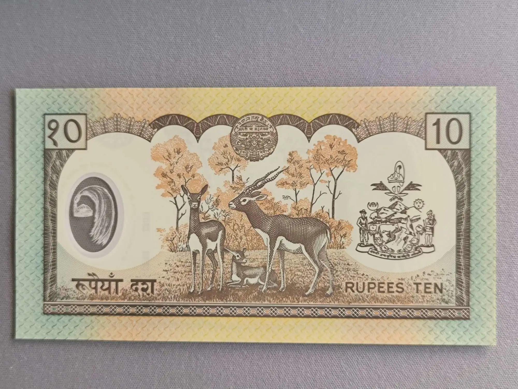 Снимка 2 от 2