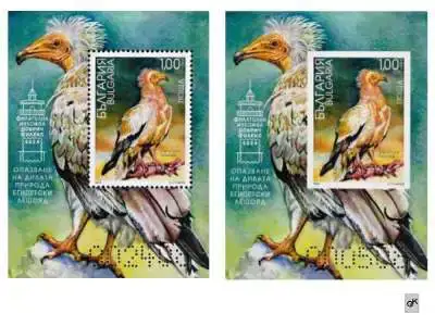 Снимка за обява „България 2024 - Египетски лешояд - 2 блока MNH"