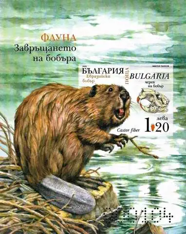 Снимка 3 от 4