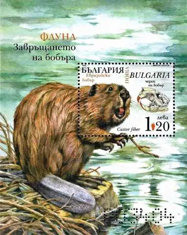 Снимка 2 от 4