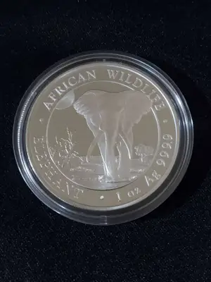 Снимка за обява „Сомалия 2025 - 100 Шилинга - Слон, 1 OZ - Сребърна монета, 1 унция"