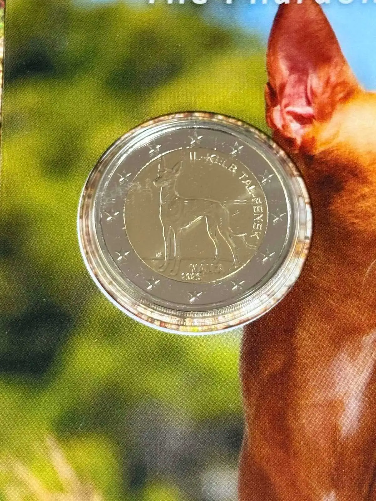 Снимка 4 от 6