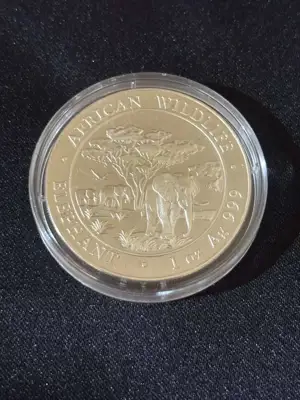 Снимка за обява „Сомалия 2012 - 100 Шилинга - Слон 1 OZ - Сребърна монета"