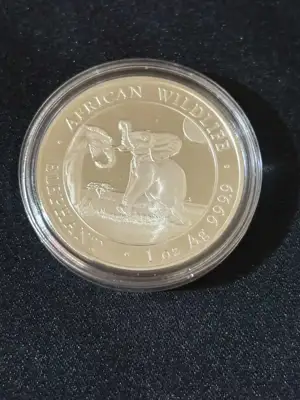 Снимка за обява „Сомалия 2024 - 100 Шилинга - Слон 1 OZ - Сребърна монета"