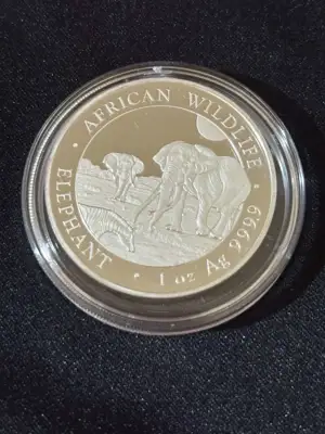 Снимка за обява „Сомалия 2026 - 100 Шилинга - Слон 1 OZ - Сребърна монета"