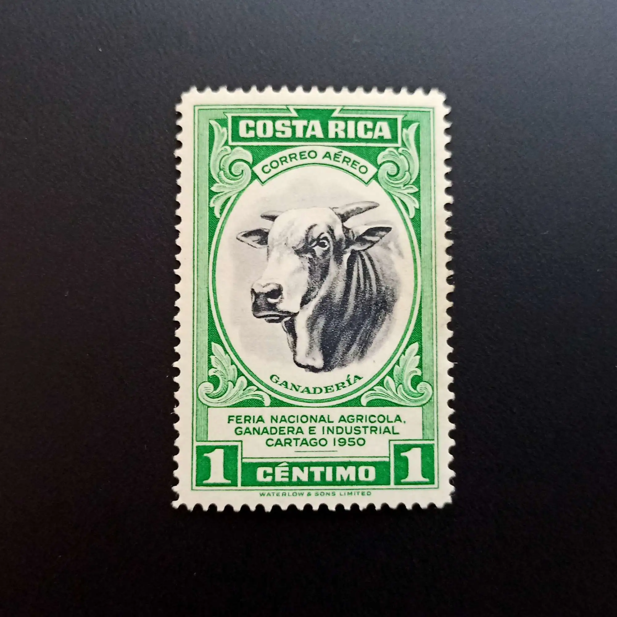 Снимка 1 от 1