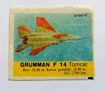 Снимка за обява „⭐ Картинка Би-Бип 87 Grumman F 14 Tomcat ⭐"