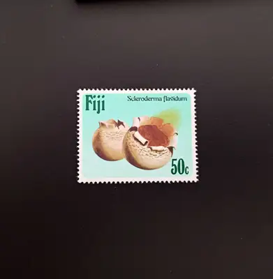 Снимка за обява „🇫🇯 Фиджи 1984 50 цента Гъби 🇫🇯"