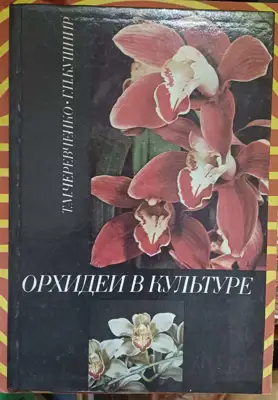 Снимка за обява „Орхидеи отглеждане"