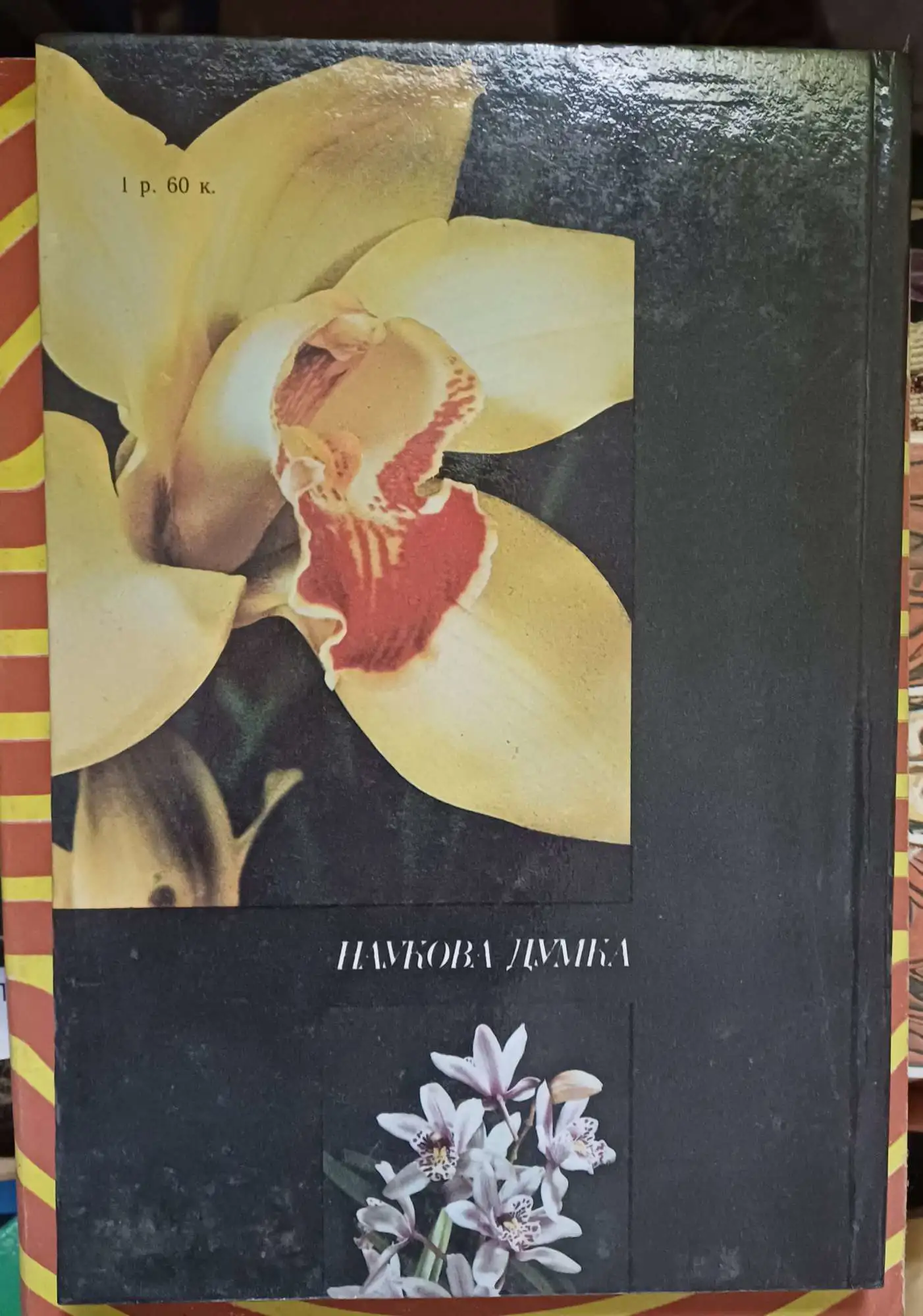 Снимка 2 от 6