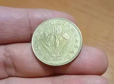 Снимка за обява „20 форинта Унгария 2007"