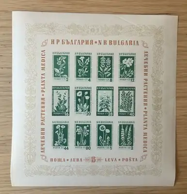 Снимка за обява „Блок – Лечебни растения"