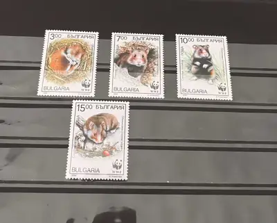 Снимка за обява „Фонд за защита на дивата природа (WWF)"