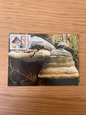 Снимка за обява „Карта максимум - Праханови гъби"