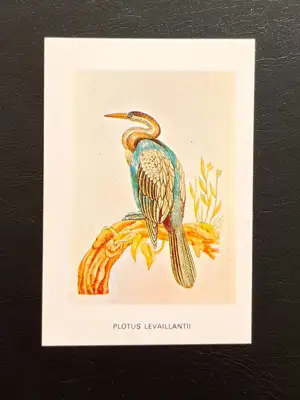 Снимка за обява „Джобно календарче 1983 – птица Plotus Levaillantii, НРБ"