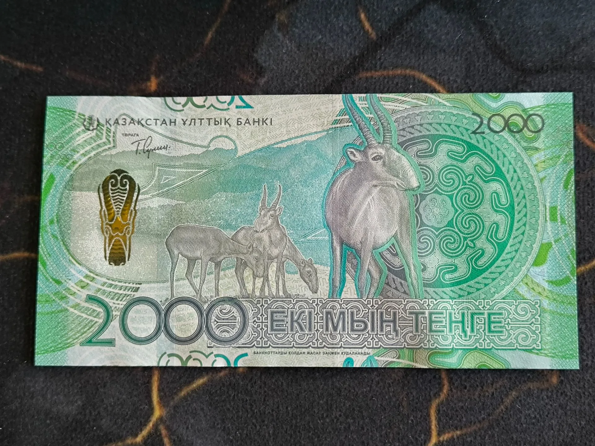 Снимка 3 от 3