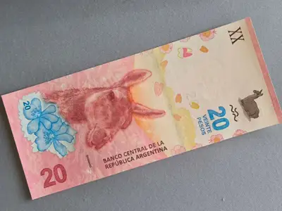 Снимка за обява „Банкнота - Аржентина - 20 песо UNC | 2017г.“