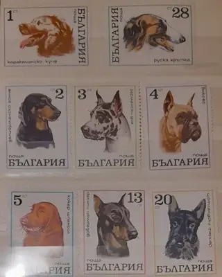 Снимка за обява „Марки- серия "Кучета" 1970“