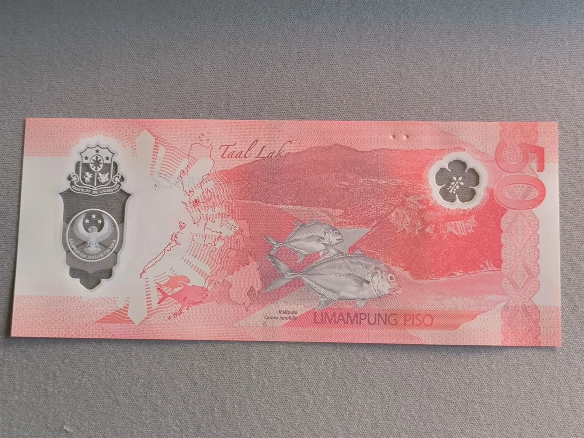 Снимка 2 от 2